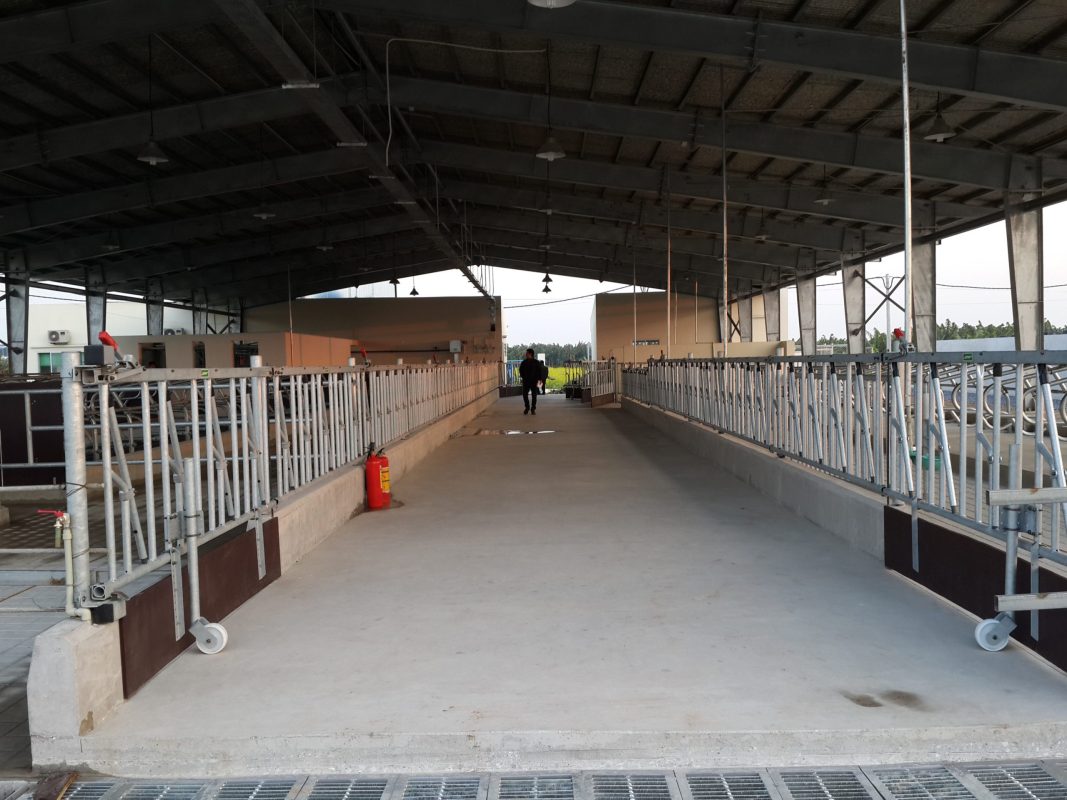 AAC Construction JSC