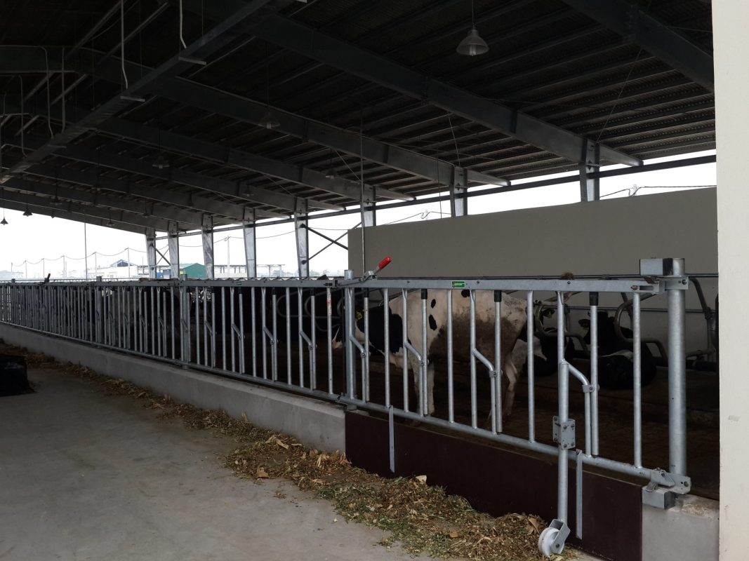 AAC Construction JSC