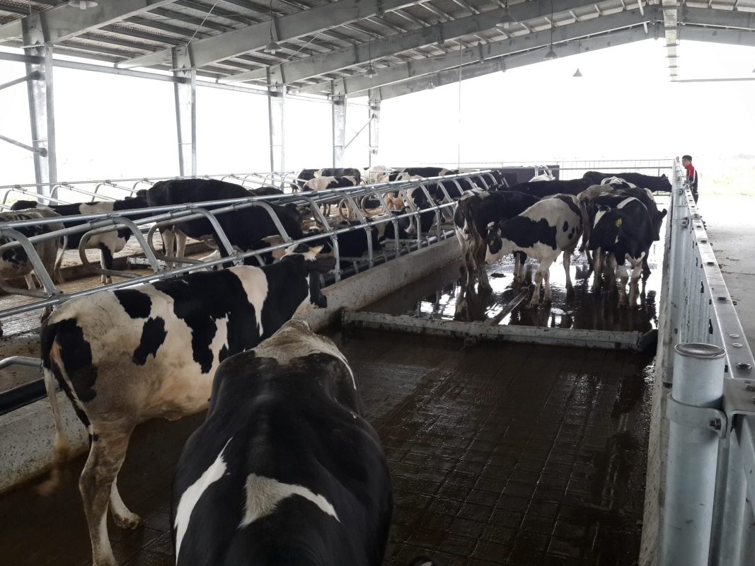 AAC Construction JSC